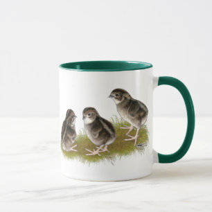 Coturnix Kwartel Kuikens Mok