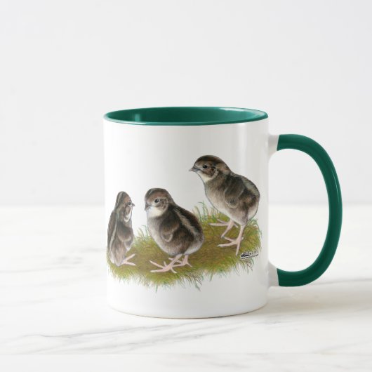 Coturnix Kwartel Kuikens Mok (Rechts)