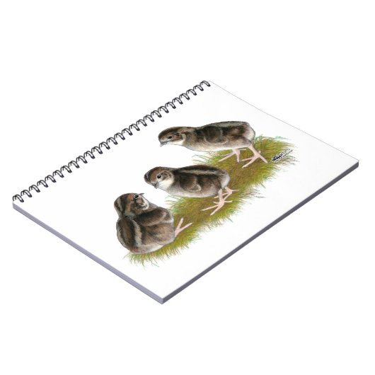 Coturnix Kwartel Kuikens Notitieboek (Linkerzijde)