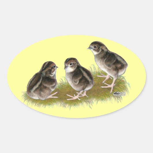 Coturnix Kwartel Kuikens Ovale Sticker (Voorkant)