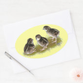 Coturnix Kwartel Kuikens Ovale Sticker (Envelop)