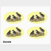 Coturnix Kwartel Kuikens Ovale Sticker (Vel)