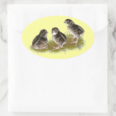 Coturnix Kwartel Kuikens Ovale Sticker (Tas)