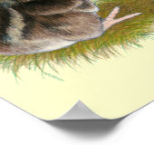 Coturnix Kwartel Kuikens Poster (Hoek)