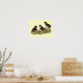 Coturnix Kwartel Kuikens Poster (Keuken)