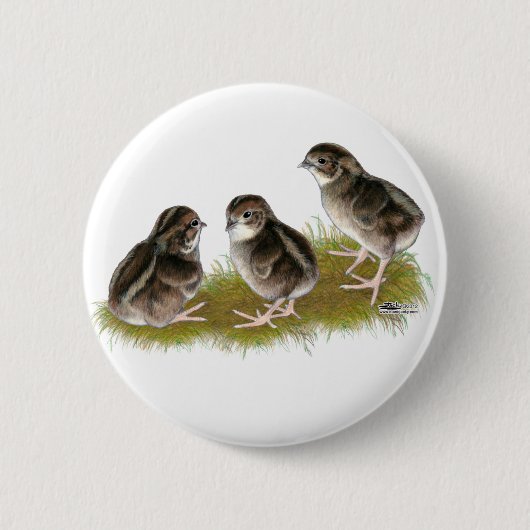 Coturnix Kwartel Kuikens Ronde Button 5,7 Cm (Voorkant)