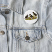 Coturnix Kwartel Kuikens Ronde Button 5,7 Cm (In situ)