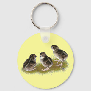 Coturnix Kwartel Kuikens Sleutelhanger