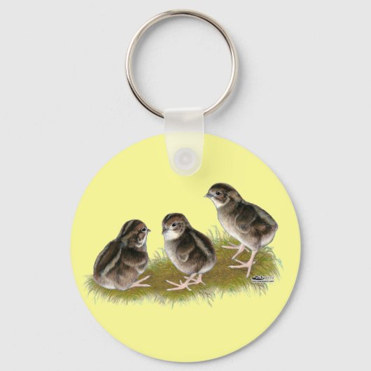 Coturnix Kwartel Kuikens Sleutelhanger (Voorkant)