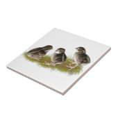 Coturnix Kwartel Kuikens Tegeltje (Zijkant)