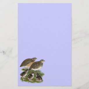 Coturnix Kwartelfamilie Briefpapier