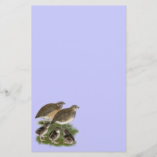 Coturnix Kwartelfamilie Briefpapier (Voorkant)
