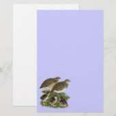 Coturnix Kwartelfamilie Briefpapier (Voorkant / Achterkant)