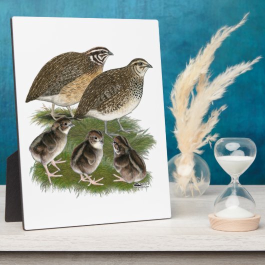 Coturnix Kwartelfamilie Fotoplaat (Zijkant)