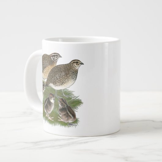 Coturnix Kwartelfamilie Grote Koffiekop (Links)