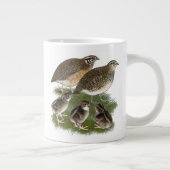 Coturnix Kwartelfamilie Grote Koffiekop (Rechts)