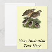 Coturnix Kwartelfamilie Kaart (Voorkant / Achterkant)