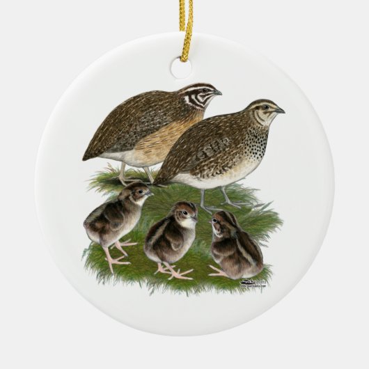 Coturnix Kwartelfamilie Keramisch Ornament (Voorkant)