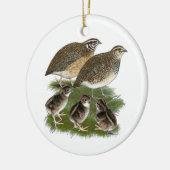 Coturnix Kwartelfamilie Keramisch Ornament (Links)