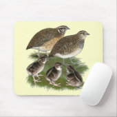 Coturnix Kwartelfamilie Muismat (Met muis)