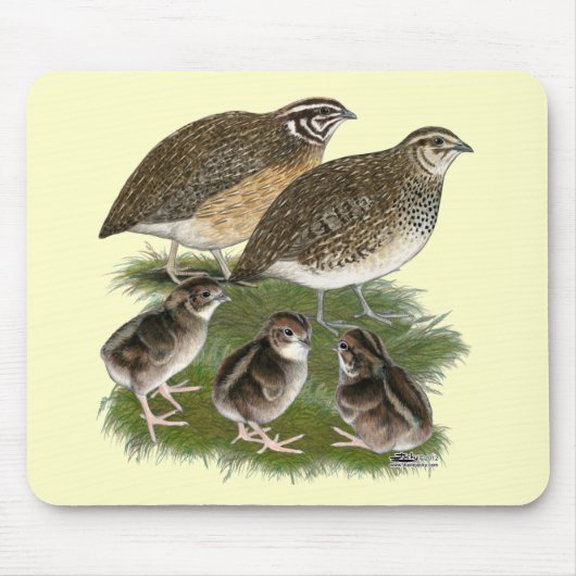 Coturnix Kwartelfamilie Muismat (Voorkant)