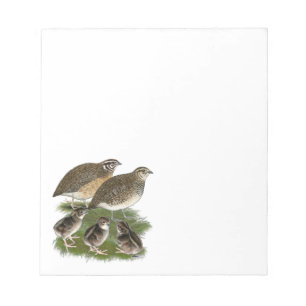 Coturnix Kwartelfamilie Notitieblok