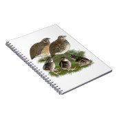 Coturnix Kwartelfamilie Notitieboek (Rechterzijde)