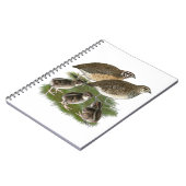 Coturnix Kwartelfamilie Notitieboek (Linkerzijde)
