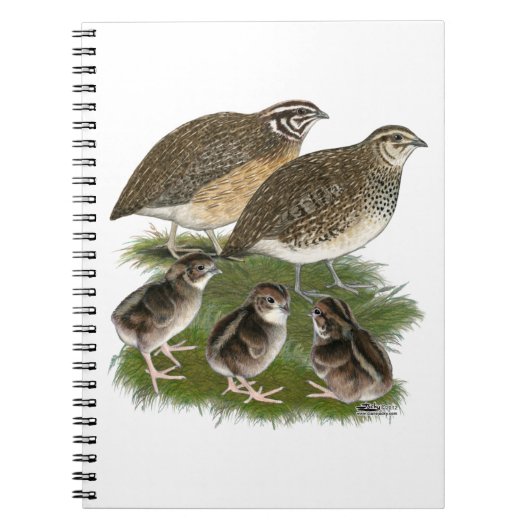 Coturnix Kwartelfamilie Notitieboek (Voorkant)