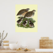 Coturnix Kwartelfamilie Poster (Keuken)