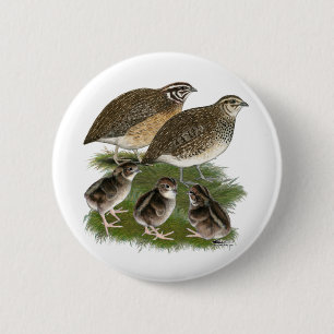 Coturnix Kwartelfamilie Ronde Button 5,7 Cm