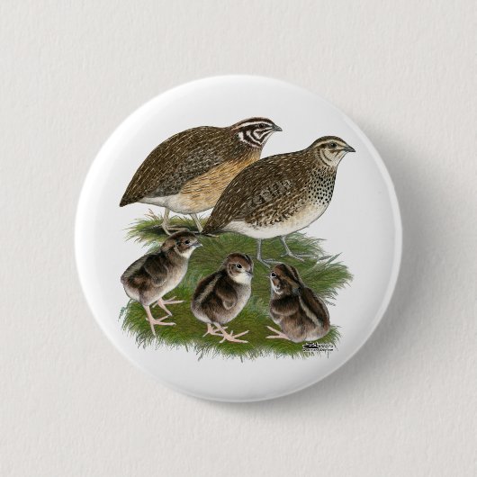 Coturnix Kwartelfamilie Ronde Button 5,7 Cm (Voorkant)