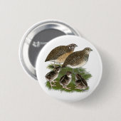 Coturnix Kwartelfamilie Ronde Button 5,7 Cm (Voorkant /achterkant)
