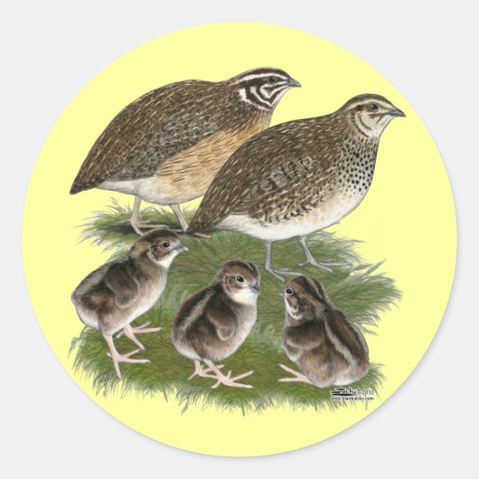 Coturnix Kwartelfamilie Ronde Sticker (Voorkant)