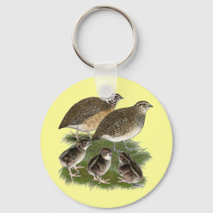 Coturnix Kwartelfamilie Sleutelhanger