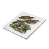 Coturnix Kwartelfamilie Tegeltje (Zijkant)