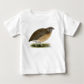 Coturnix Pharaoh Quail (Voorkant)