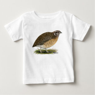 Coturnix Pharaoh Quail