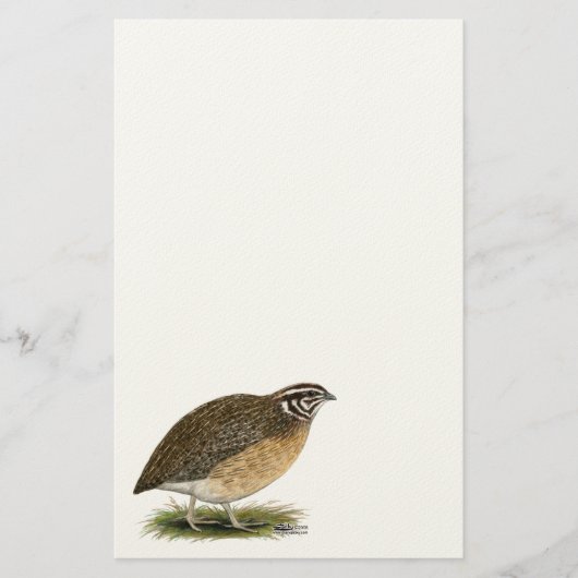 Coturnix Pharaoh Quail Briefpapier (Voorkant)