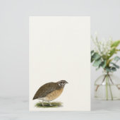 Coturnix Pharaoh Quail Briefpapier (Staand voorkant)