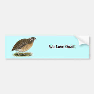 Coturnix Pharaoh Quail Bumpersticker