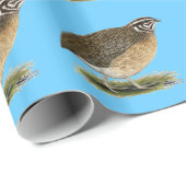 Coturnix Pharaoh Quail Cadeaupapier (Rol Hoek)