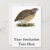 Coturnix Pharaoh Quail Kaart (Voorkant)