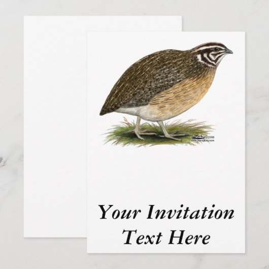 Coturnix Pharaoh Quail Kaart (Voorkant / Achterkant)