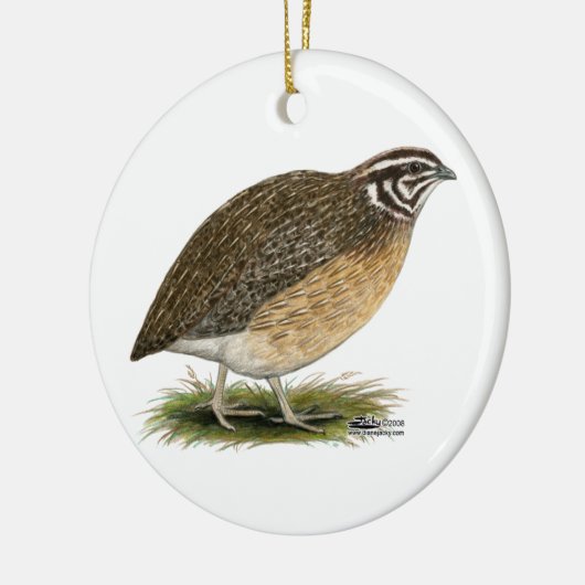 Coturnix Pharaoh Quail Keramisch Ornament (Links)