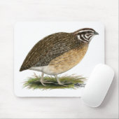 Coturnix Pharaoh Quail Muismat (Met muis)