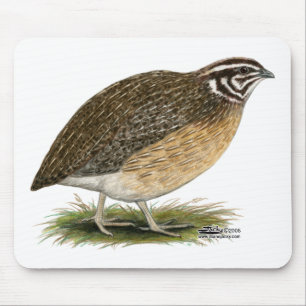 Coturnix Pharaoh Quail Muismat