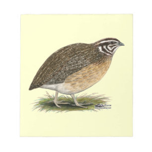 Coturnix Pharaoh Quail Notitieblok