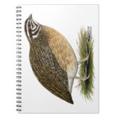 Coturnix Pharaoh Quail Notitieboek (Voorkant)