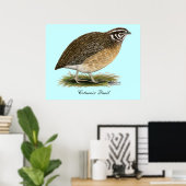 Coturnix Pharaoh Quail Poster (Thuiskantoor)